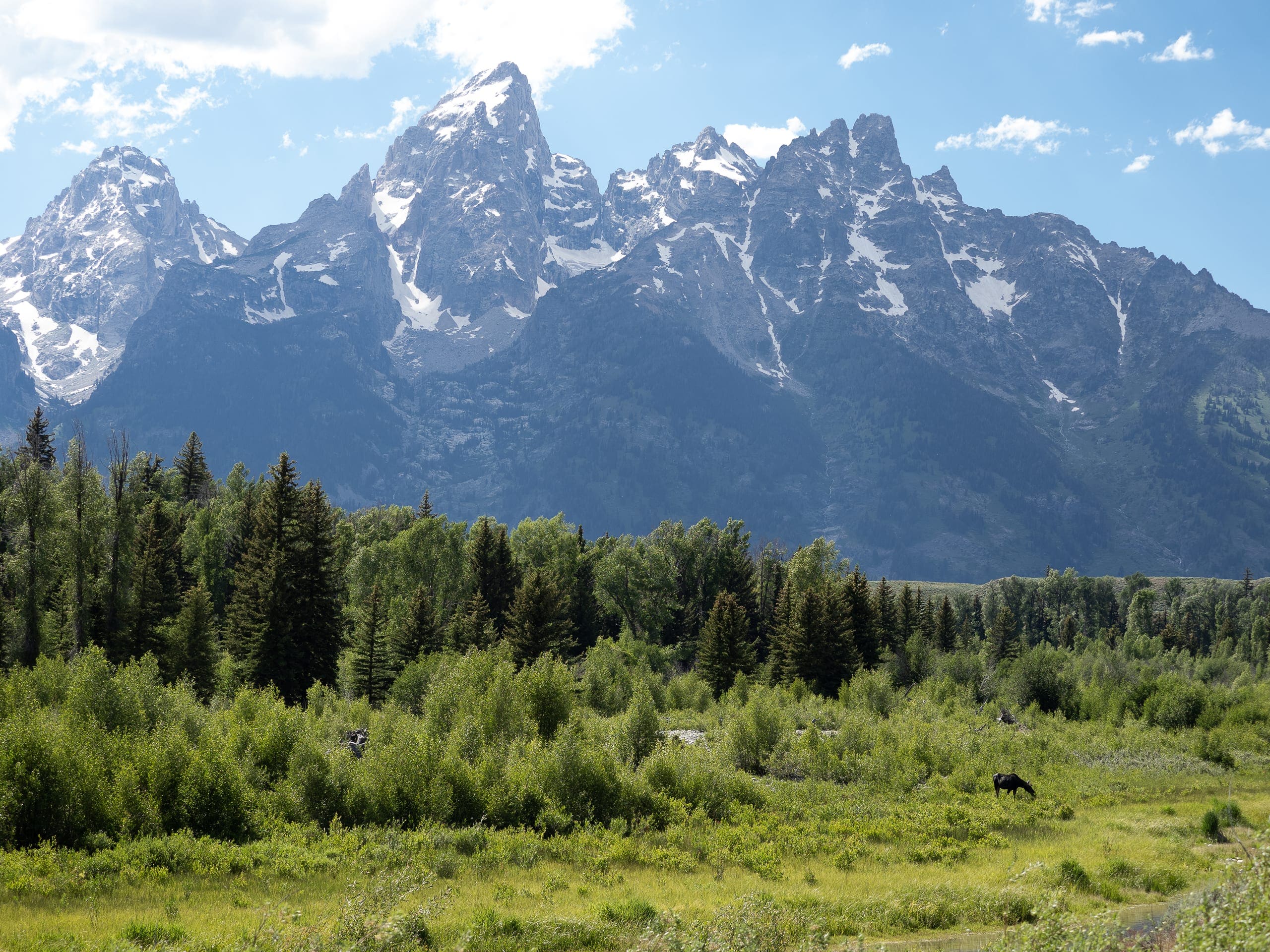 Tour de la Faune sauvage de Grand Teton National Park - Collectif