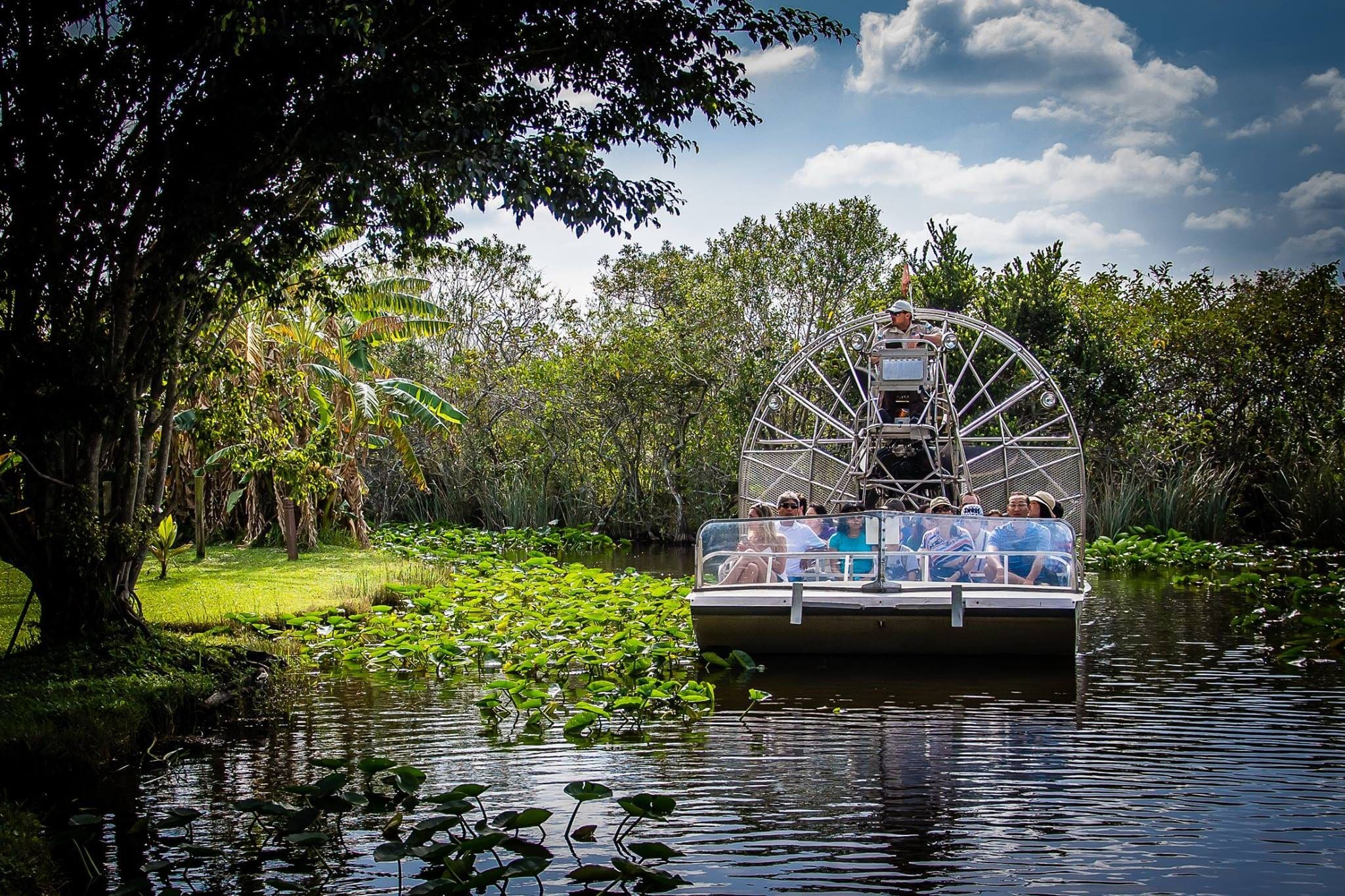 Découverte des Everglades