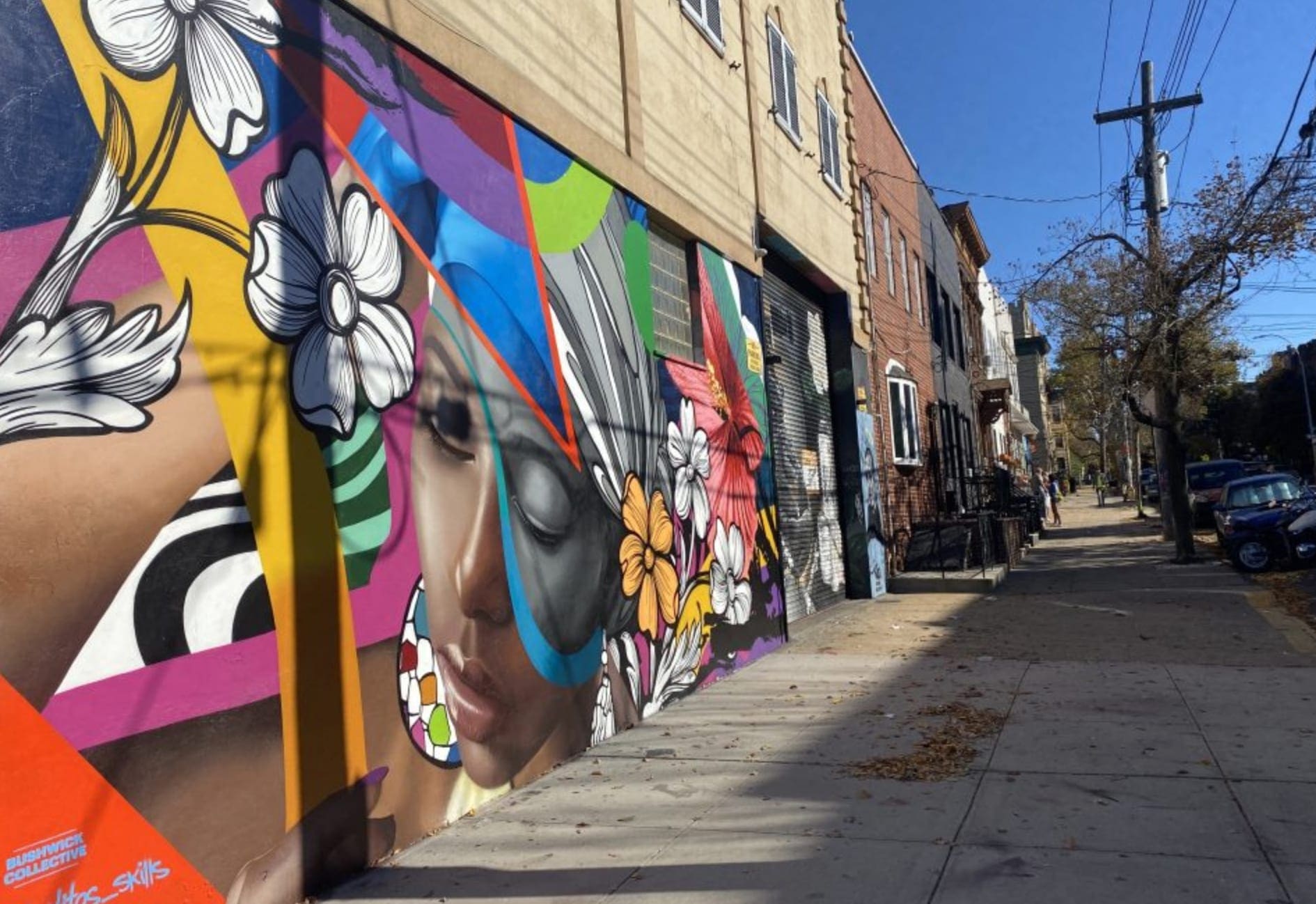 Exploring Bushwick and Williamsburg - Private tour