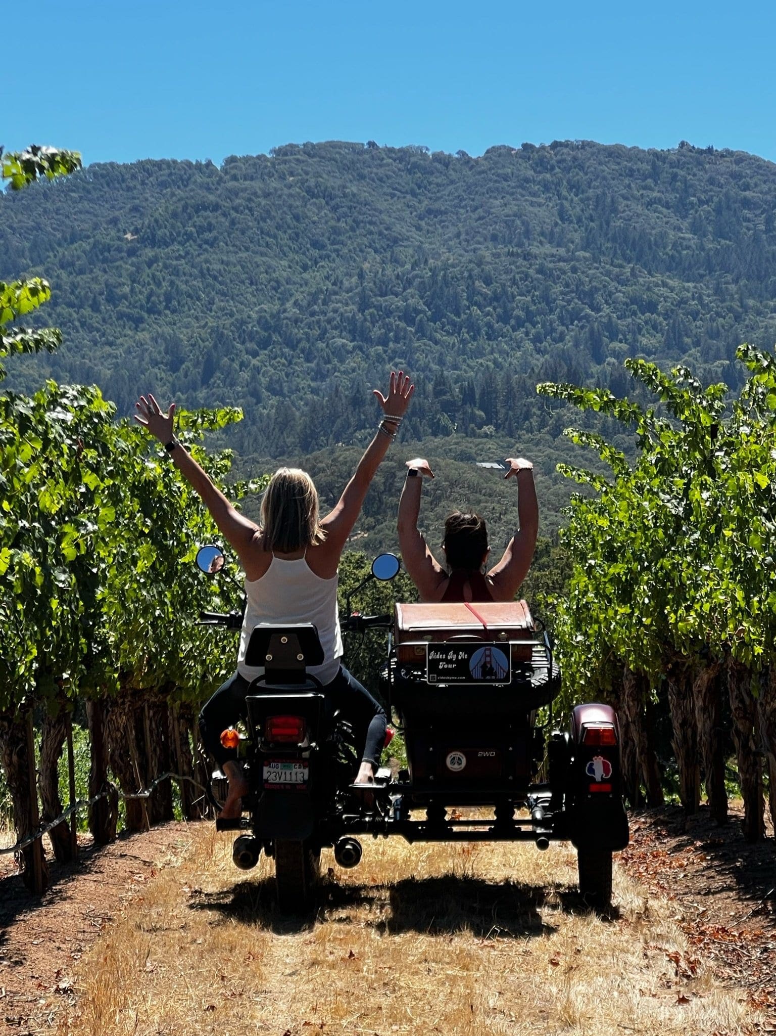 Découverte de la Napa Valley en Sidecar