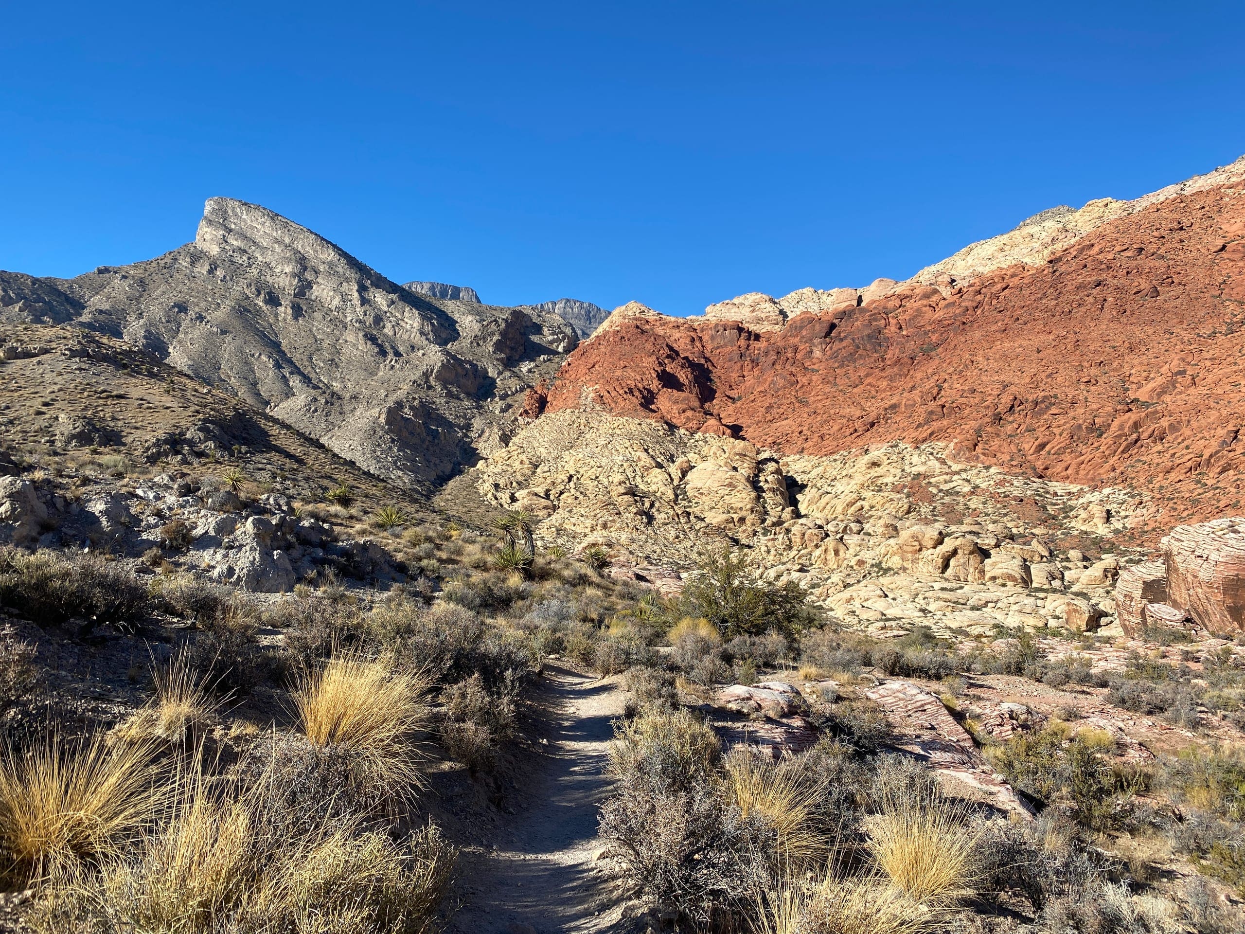 Découverte de Red Rock Canyon depuis Las Vegas avec guide francophone - Privatif