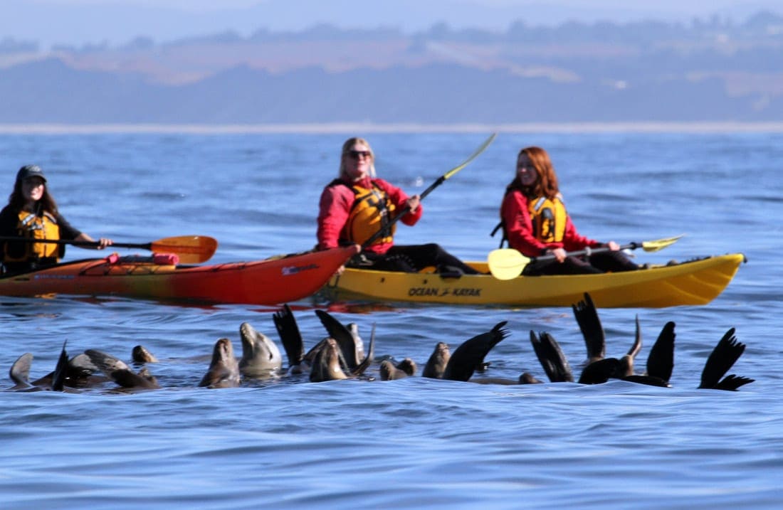 Kayak dans la baie de Monterey - Privé