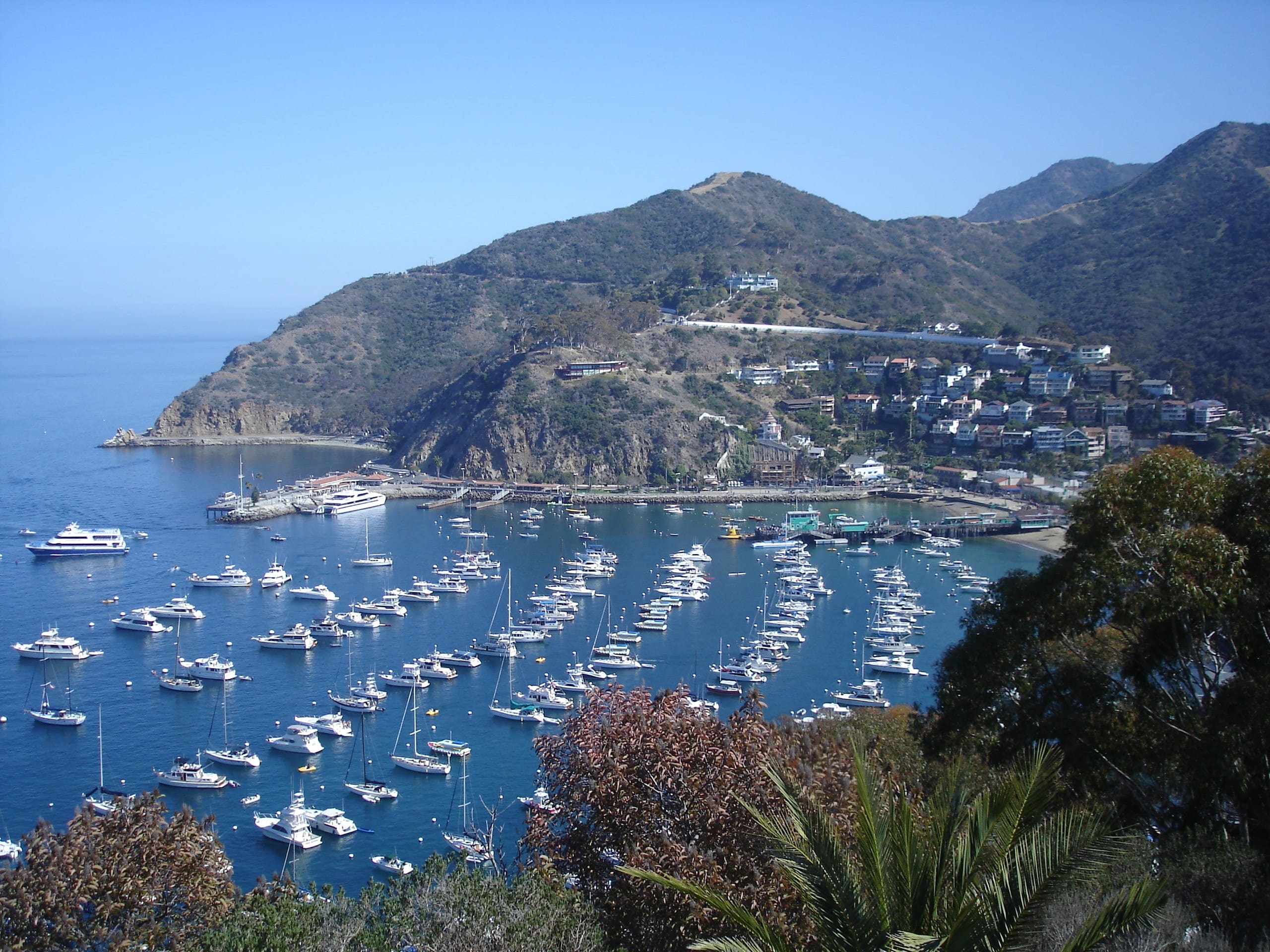 Go explore Catalina Island!