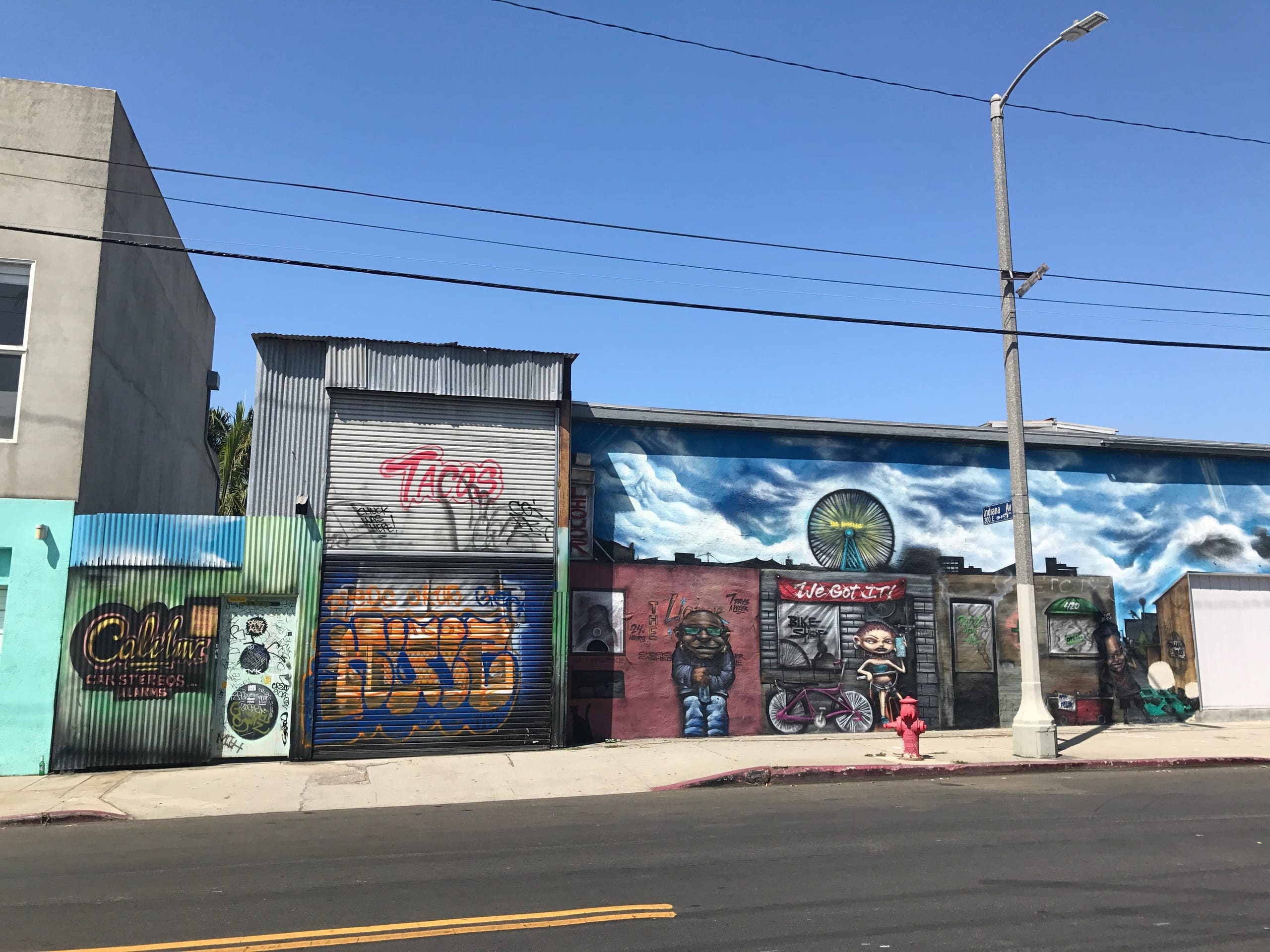 Explore Venice Beach by foot - Private tour