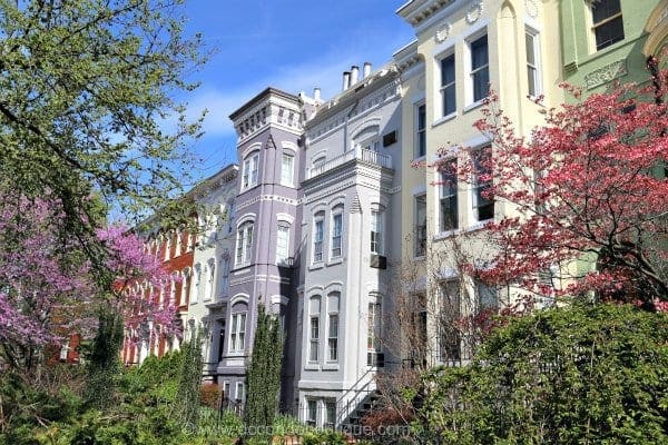 A la découverte du Capitol & Capitol Hill
