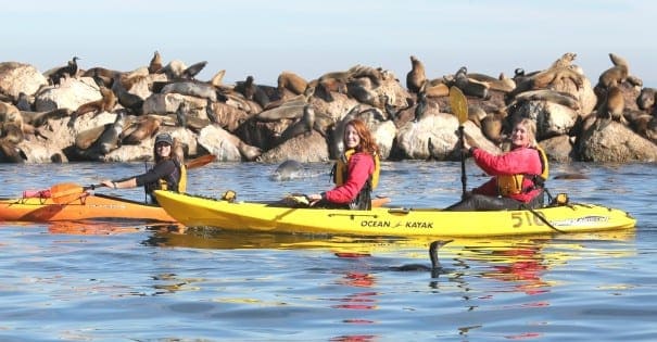 Kayak Dans la Baie de Monterey - Collectif