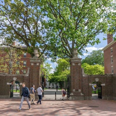 Le Meilleur de Harvard À Pied - Collectif