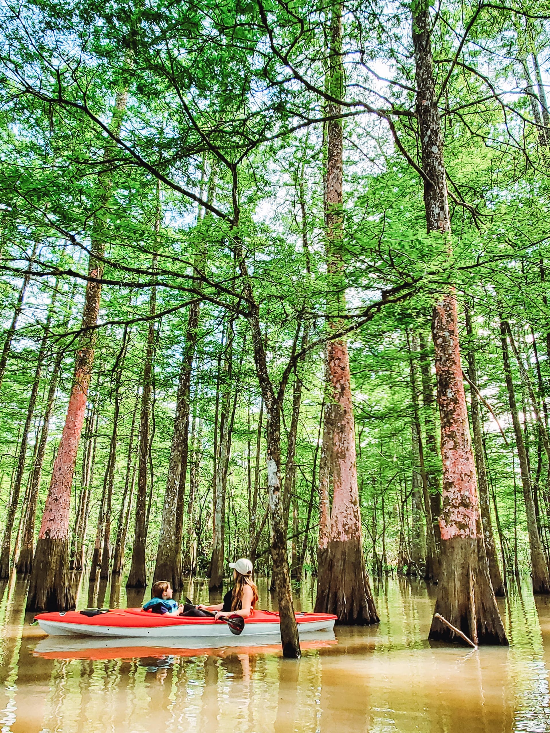 Kayak Tour du bayou d'Atchafalaya Basin