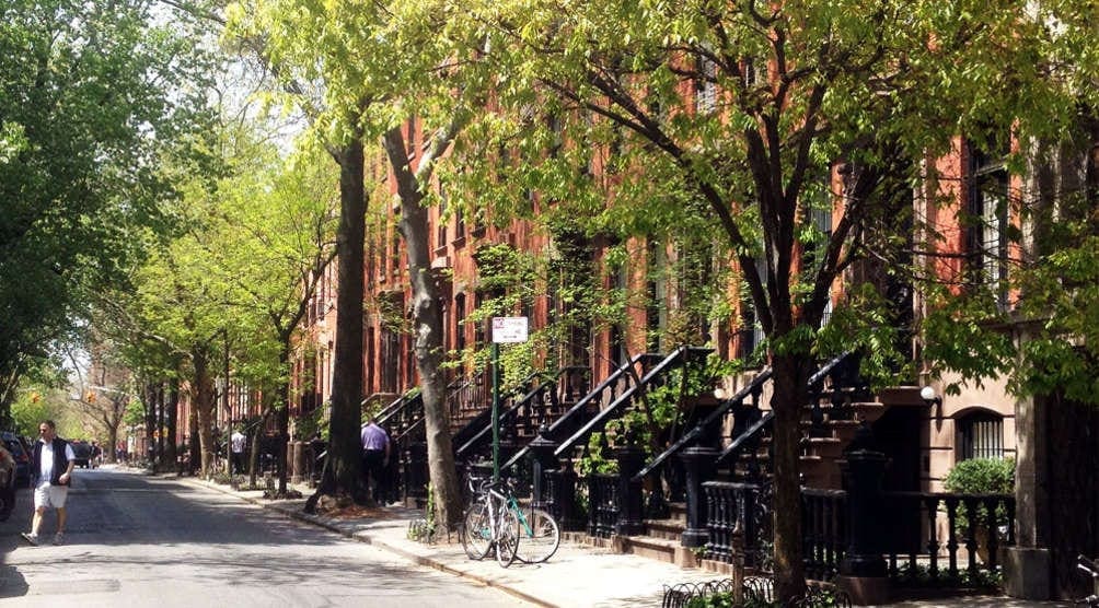 The best of New York by foot - Private tour
