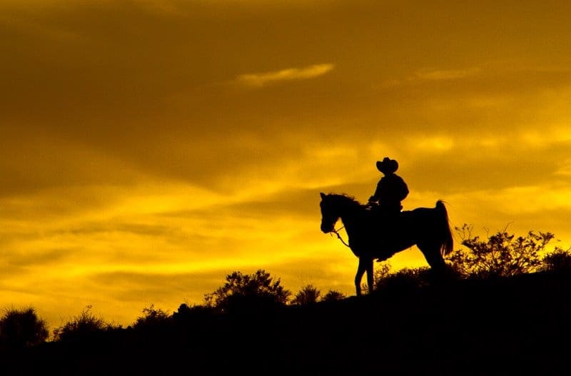 Balade À Cheval Dans la Région de Las Vegas Avec Dîner Barbecue