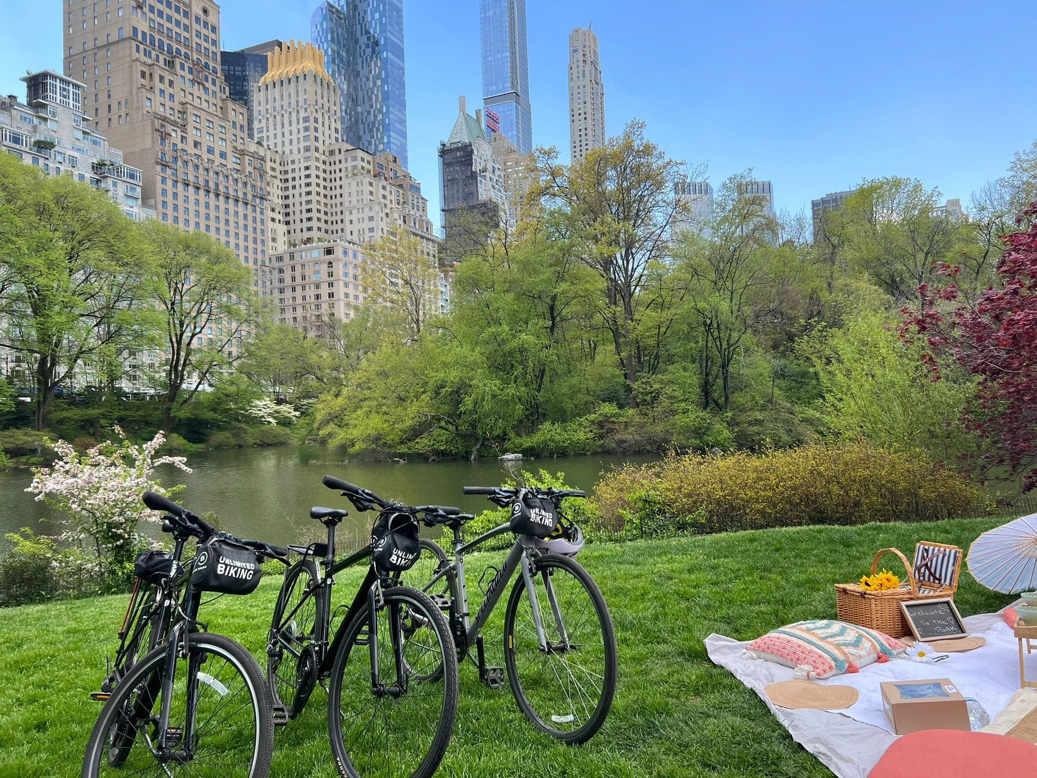 Location de vélos à Central Park & Pique Nique