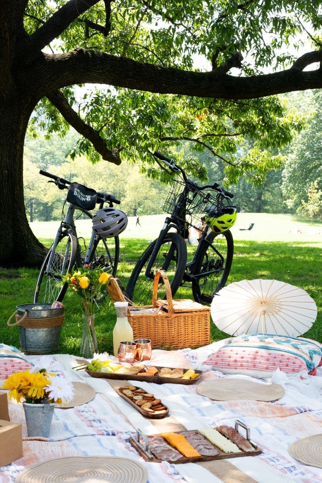 Découverte Privative de Central Park en français & Picnic inclus