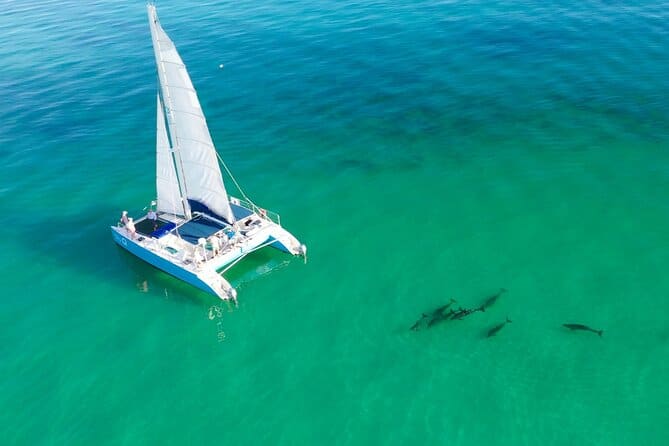 Eco Tour Key West
