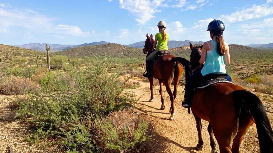 Balade À Cheval À Scottsdale