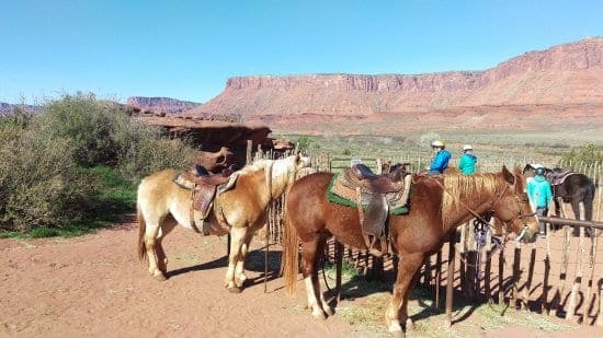 Découverte de Moab à cheval 2h